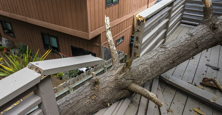 NaturalDisaster.jpg