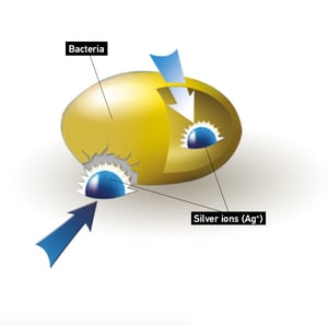 Silver Ions penetrating a bacteria cell